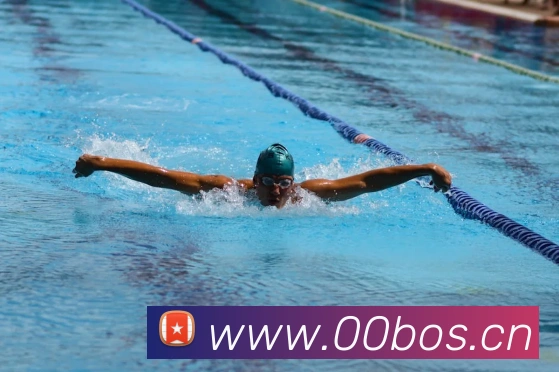 星空app官网平台生态图